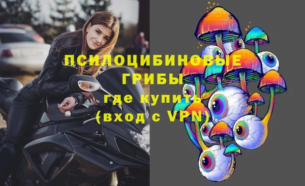spice Алексеевка