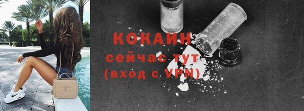 винт Туринск