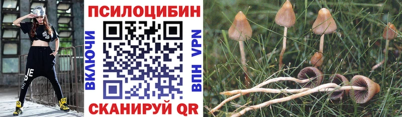 Псилоцибиновые грибы GOLDEN TEACHER  Самара 