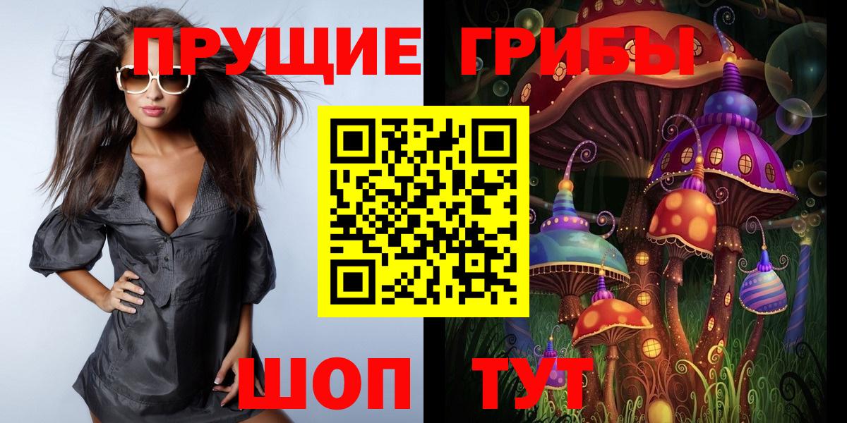 Самара  Галлюциногенные грибы Psilocybe  Вход с VPN 