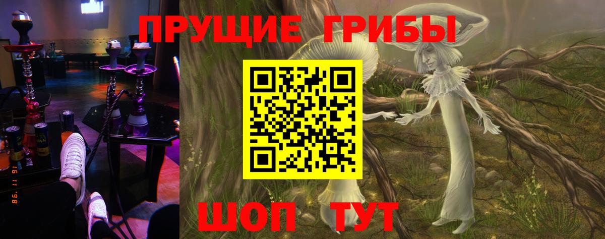 Галлюциногенные грибы прущие грибы Самара